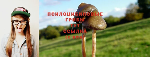 дмт Новозыбков