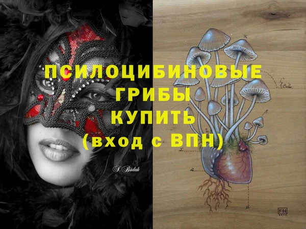 mdpv Новодвинск